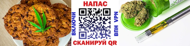 Купить закладки  Карачаевск  Canna-Cookies конопля 