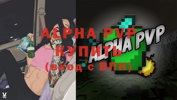 шишки Верхний Тагил
