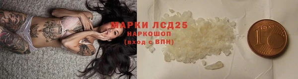 шишки Верхний Тагил