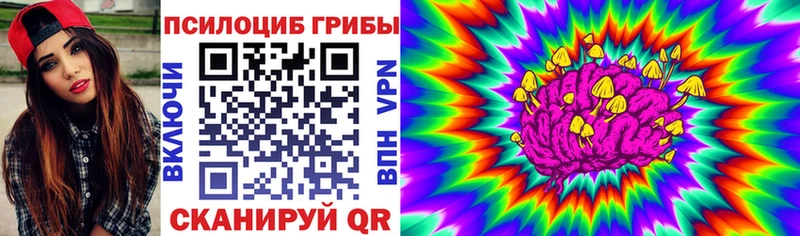 Псилоцибиновые грибы мухоморы  Купить где  Карачаевск 